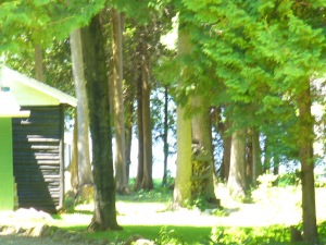 13 Cedar trail Boat Lake, Wiarton, Ontario, Canada