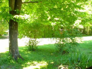13 Cedar trail Boat Lake, Wiarton, Ontario, Canada