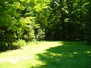 13 Cedar trail Boat Lake, Wiarton, Ontario, Canada