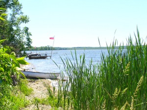 13 Cedar trail Boat Lake, Wiarton, Ontario, Canada