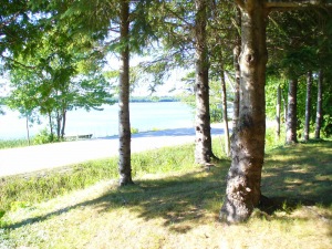 279 RED BAY RD, Red Bay, Ontario, Canada