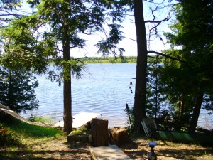 437 GREIG SETTLEMENT RD, Wiarton, Ontario, Canada