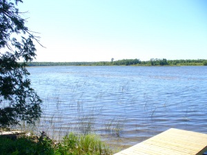 437 GREIG SETTLEMENT RD, Wiarton, Ontario, Canada