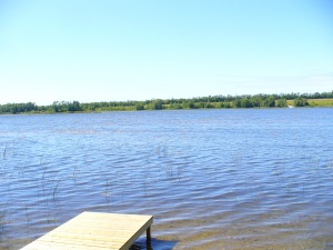 437 GREIG SETTLEMENT RD, Wiarton, Ontario, Canada