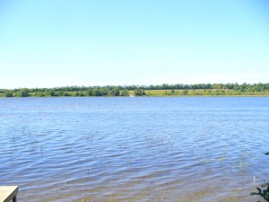 437 GREIG SETTLEMENT RD, Wiarton, Ontario, Canada