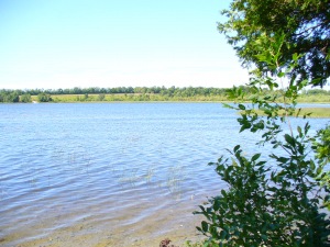 437 GREIG SETTLEMENT RD, Wiarton, Ontario, Canada