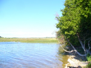 437 GREIG SETTLEMENT RD, Wiarton, Ontario, Canada
