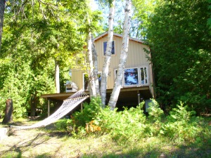 437 GREIG SETTLEMENT RD, Wiarton, Ontario, Canada