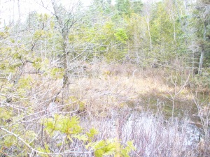1483 2ND AVE S, Sauble Beach South, Ontario, Canada