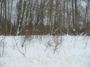 57 LARKWHISTLE AVE, Oliphant, Ontario, Canada