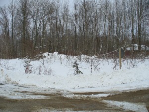 57 LARKWHISTLE AVE, Oliphant, Ontario, Canada