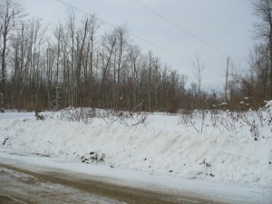 57 LARKWHISTLE AVE, Oliphant, Ontario, Canada