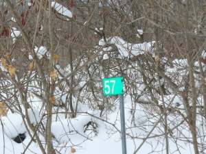 57 LARKWHISTLE AVE, Oliphant, Ontario, Canada