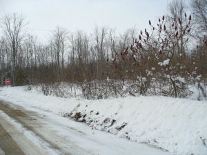 57 LARKWHISTLE AVE, Oliphant, Ontario, Canada
