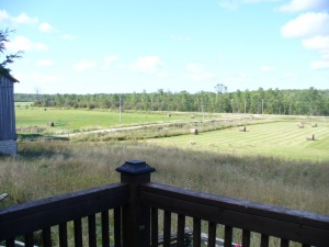 904 PURPLE VALLEY RD, Purple Valley, Ontario, Canada