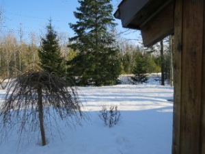 336 BRYANT ST, Oliphant, Ontario, Canada