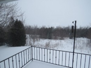 501297 GREY ROAD 1, Wiarton, Ontario, Canada