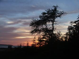 1 PARKER ISLAND RD, Stokes Bay, Ontario, Canada