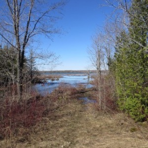 PART LOT 16 CONCESSION 17, Wiarton, Ontario, Canada
