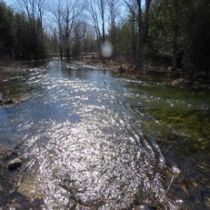 PART LOT 16 CONCESSION 17, Wiarton, Ontario, Canada