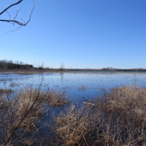PART LOT 16 CONCESSION 17, Wiarton, Ontario, Canada