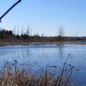 PART LOT 16 CONCESSION 17, Wiarton, Ontario, Canada