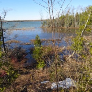 PART LOT 16 CONCESSION 17, Wiarton, Ontario, Canada