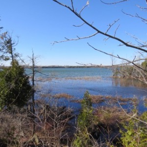 PART LOT 16 CONCESSION 17, Wiarton, Ontario, Canada