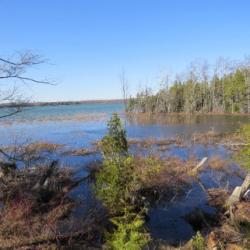 PART LOT 16 CONCESSION 17, Wiarton, Ontario, Canada