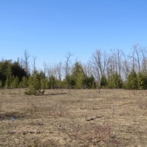 PART LOT 16 CONCESSION 17, Wiarton, Ontario, Canada