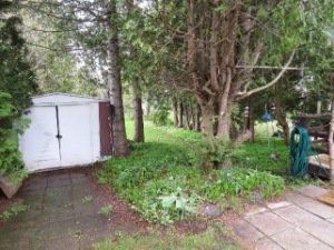 508 TAYLOR ST, Wiarton, Ontario, Canada