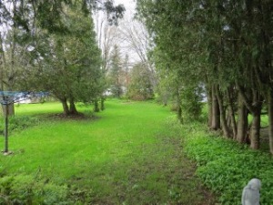 508 TAYLOR ST, Wiarton, Ontario, Canada