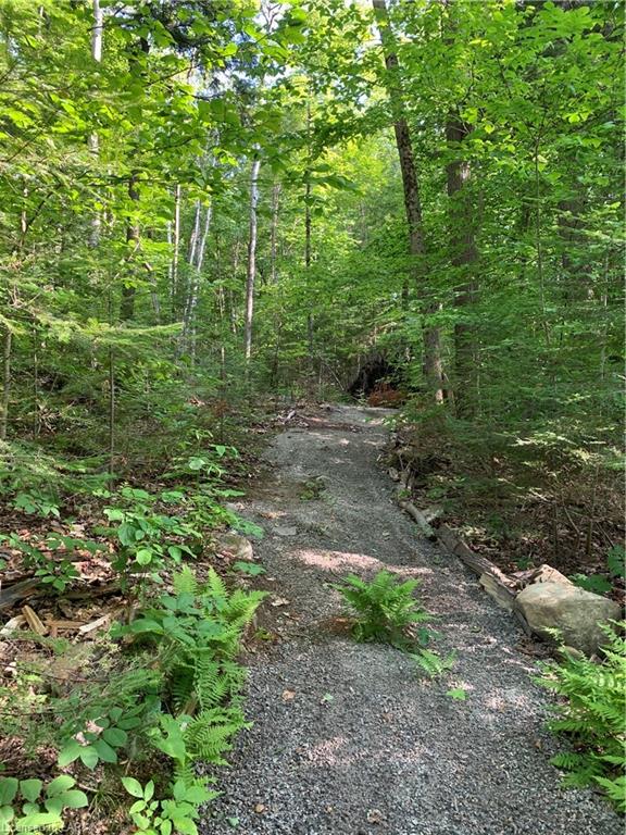 MUSKOKA ROAD 117 Highway, Dorset Ontario, Canada