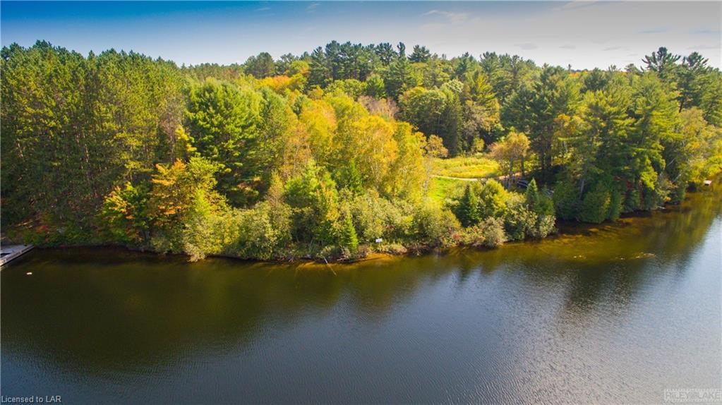 1025 MARY ROBERTS Road, Baysville Ontario, Canada