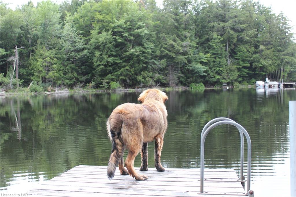 1387 WEST OXBOW LAKE Road Unit# 1, Lake of Bays Ontario, Canada