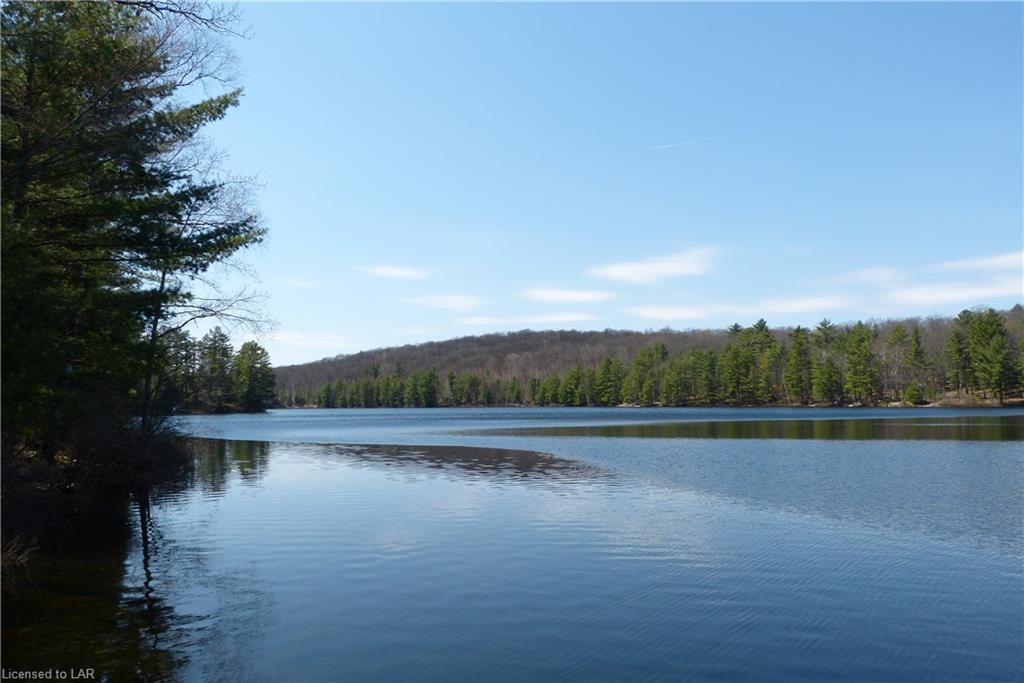 1007 WILDCAT LAKE Road, Lake of Bays, Ontario, Canada