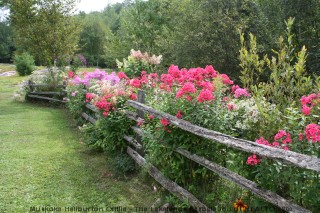 1573 PAINT LAKE RD, Dorset, Ontario, Canada