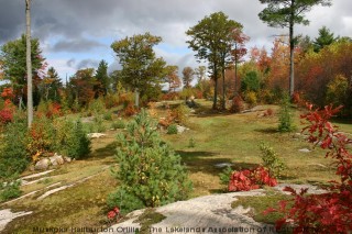 1573 PAINT LAKE RD, Dorset, Ontario, Canada