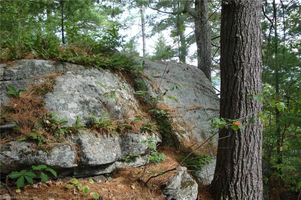 1100 KANAWA Lane, Algonquin Highlands, Ontario, Canada