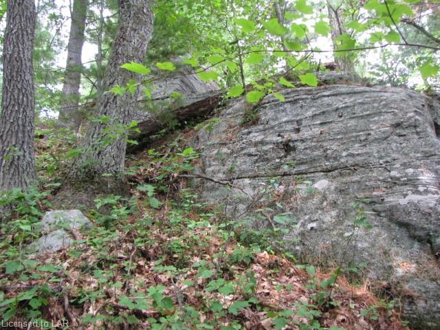 1100 KANAWA Lane, Algonquin Highlands, Ontario, Canada