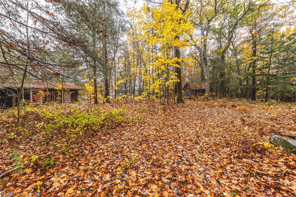 TWELVE MILE LAKE Road, Minden, Ontario, Canada