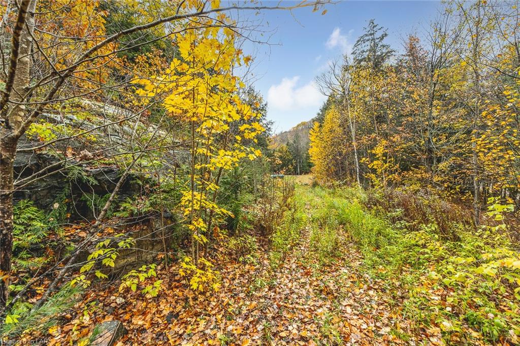 TWELVE MILE LAKE Road, Minden, Ontario, Canada