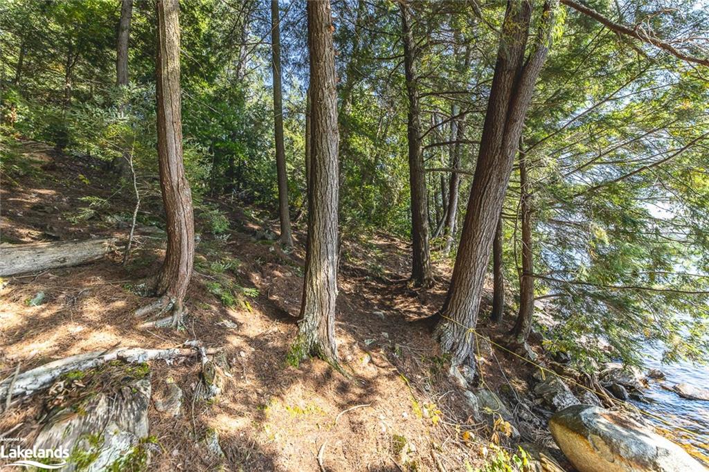 KAWAGAMA LAKE (WAO) Lake, Algonquin Highlands, Ontario, Canada