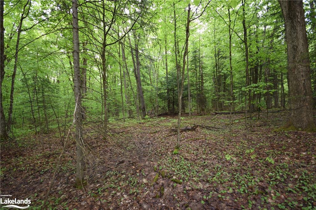 LT111 SOUTH Road, Eagle Lake Village, Ontario, Canada