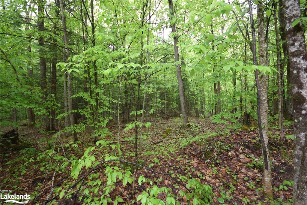 LT111 SOUTH Road, Eagle Lake Village, Ontario, Canada