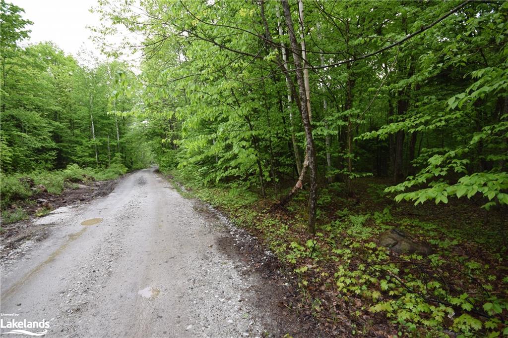 LT111 SOUTH Road, Eagle Lake Village, Ontario, Canada