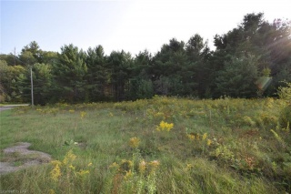 - SALERNO LAKE Road, Irondale Ontario, Canada