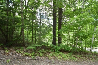 LOT 73 TAILFEATHER Road, Haliburton Ontario, Canada