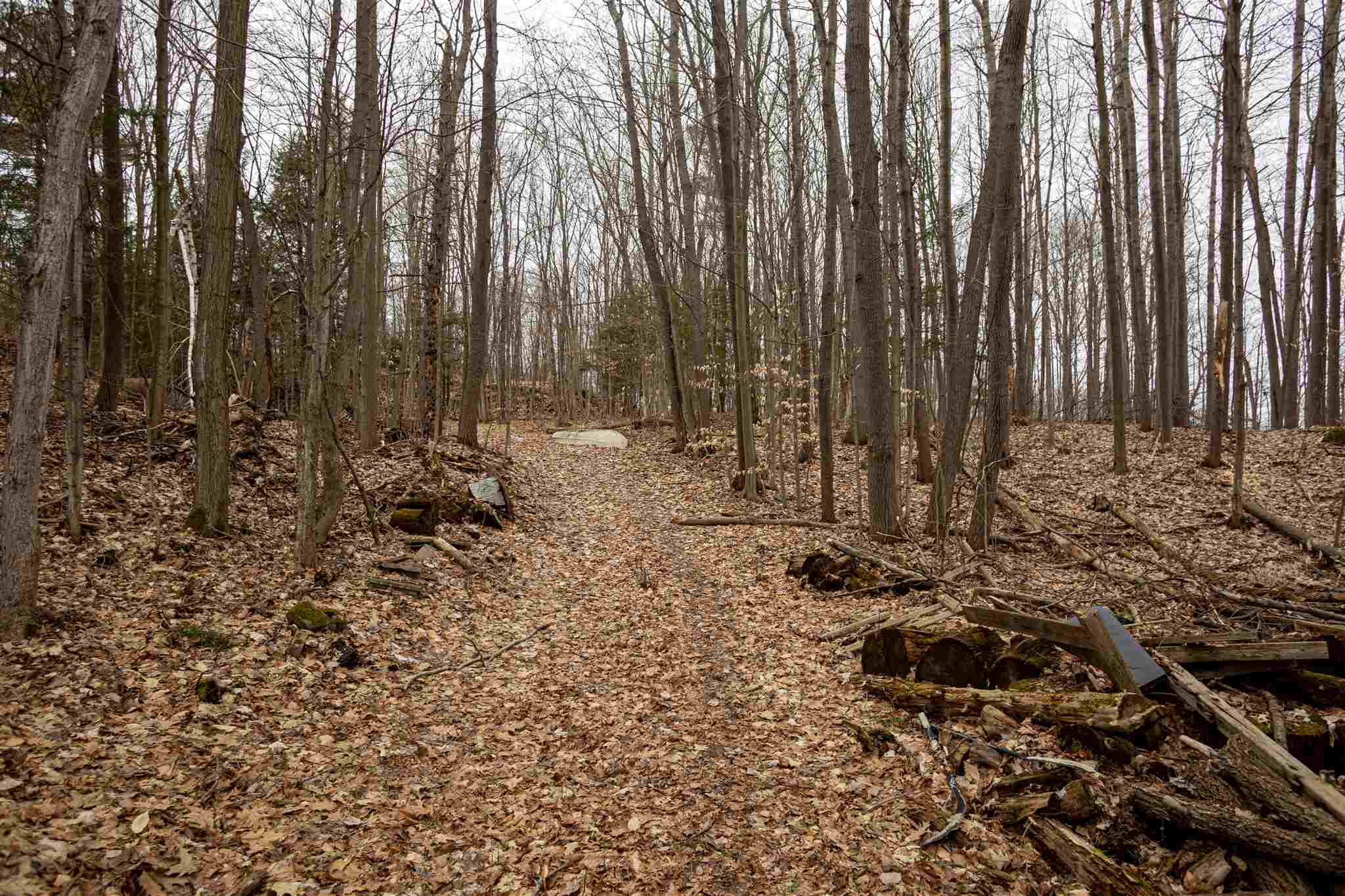 5677 Bedford Road, Sydenham Ontario, Canada