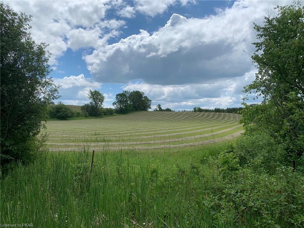 365 LILY LAKE Road, Selwyn, Ontario, Canada